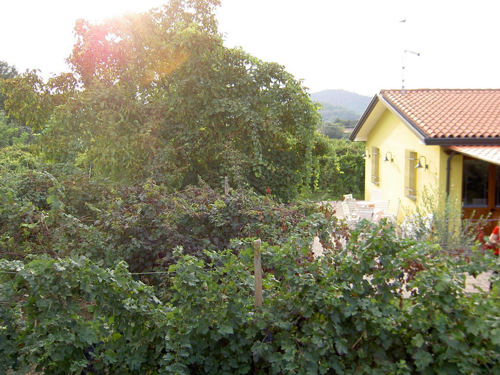 Agriturismo Monteortone 아바노테르메 외부 사진